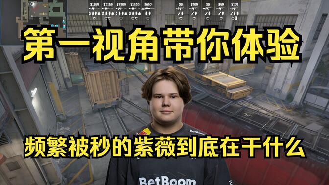 应性与位置